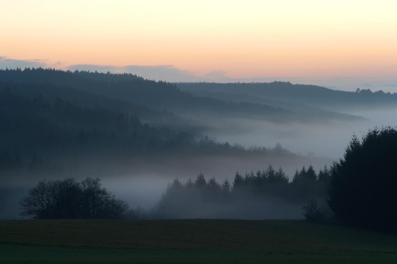 Weingut Hees - Landgasthof Zum Jaeger Aus Kurpfalz Auen Екстериор снимка